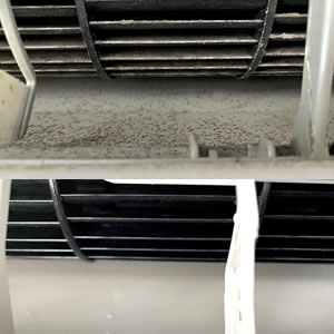 エアコンクリーニング(ダイキン(DAIKIN)ルームエアコン F22PTES-W R22PES)(神奈川県川崎市麻生区)